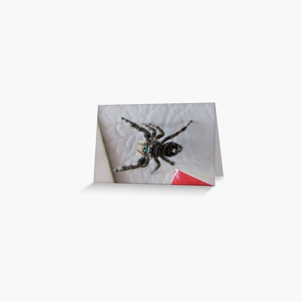 Item preview, Hi Spidey....On The Refridgerator designed and sold by Diane Arndt.