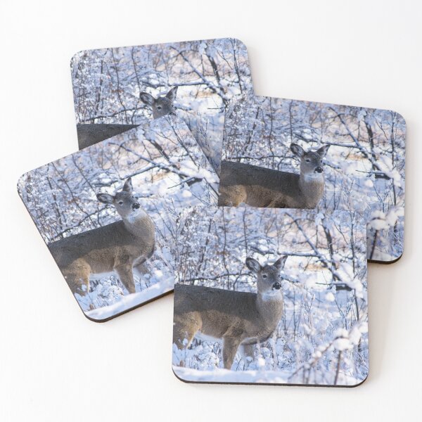 Item preview, Young white-tailed deer designed and sold by CanadianWild418.