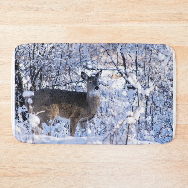Item preview, Young white-tailed deer designed and sold by CanadianWild418.