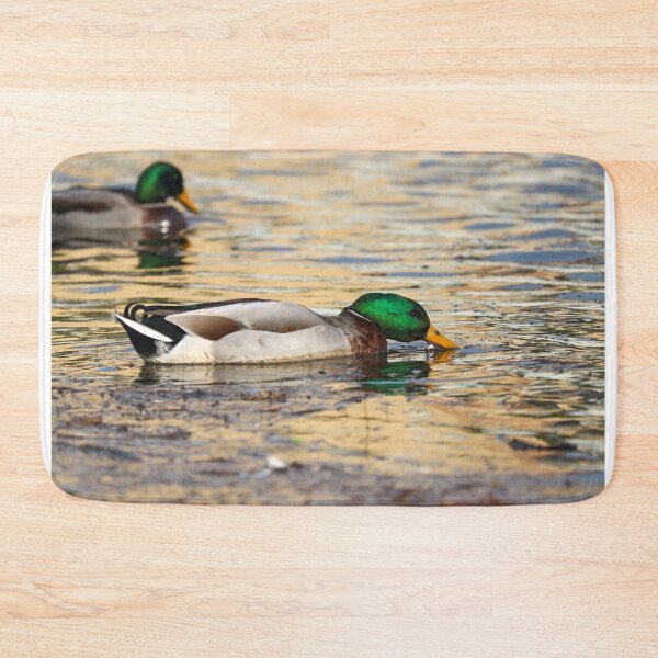 Item preview.