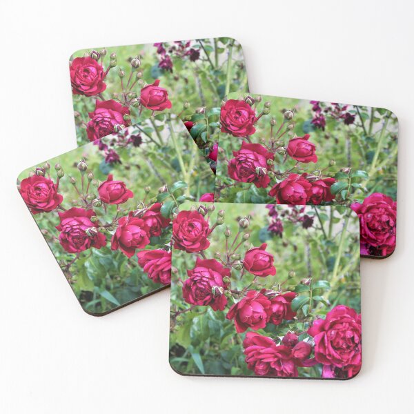 Item preview, Climbing Roses designed and sold by Lesliebc.