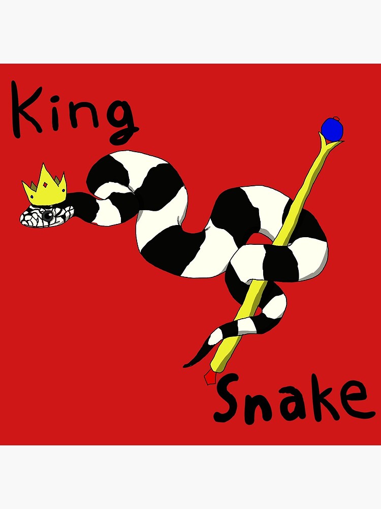 California Kingsnake Art 