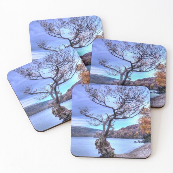 Item preview, Tree at Firkin Point, Loch Lomond, Scotland designed and sold by JeanKellyPhoto.