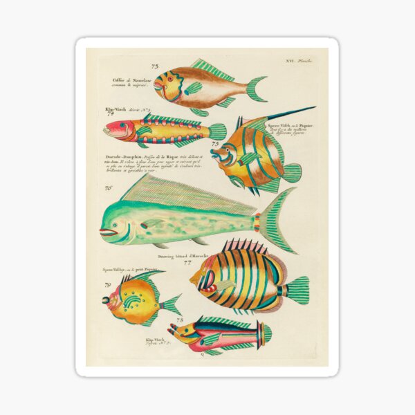 Fishes - Vintage Plate 25 print by Louis Renard