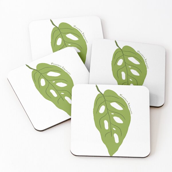Item preview, Monstera Adansonii designed and sold by willowsbunnies.