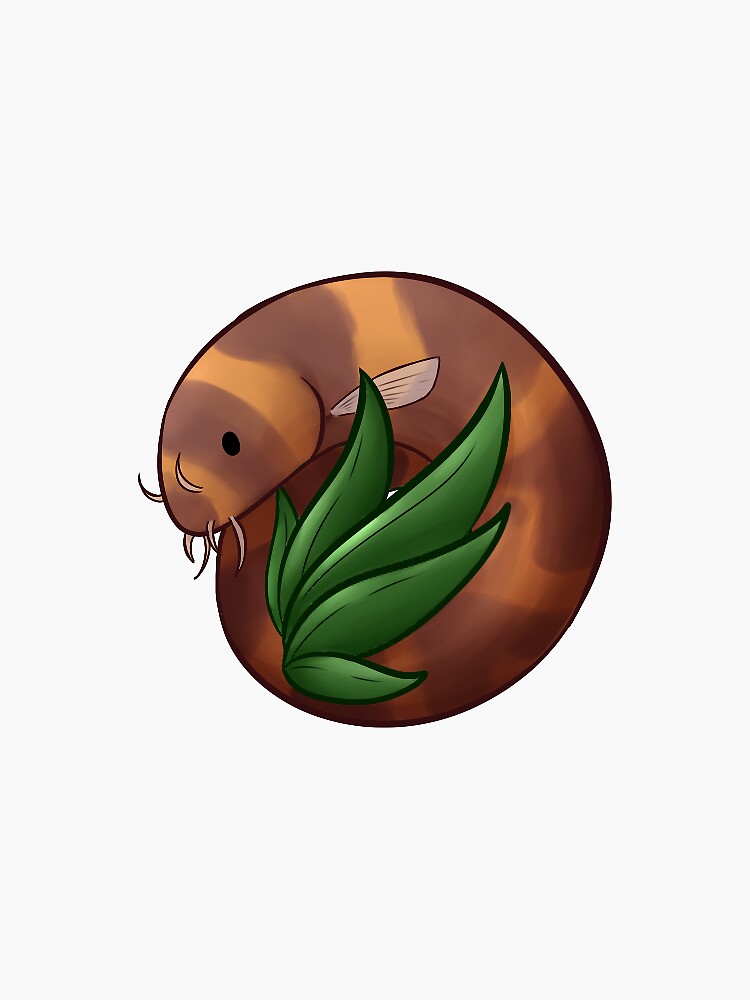 Thumbnail 3 of 3, Sticker, Kuhli Loach designed and sold by Hydria.