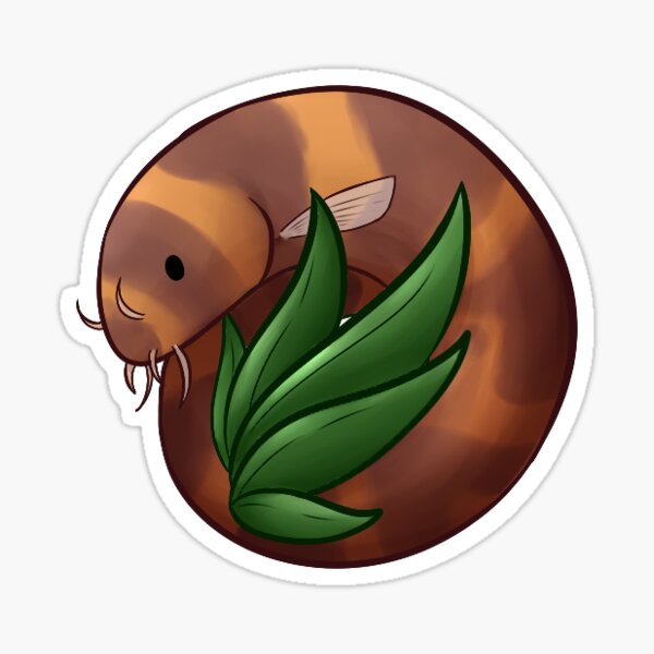 Kuhli Loach Sticker