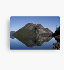 Mirror mirror Canvas Print