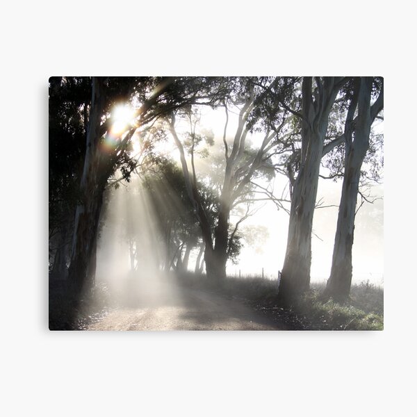 ~ Sun Burst ~ Metal Print