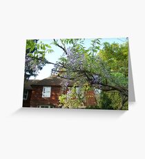 Wisteria I Greeting Card