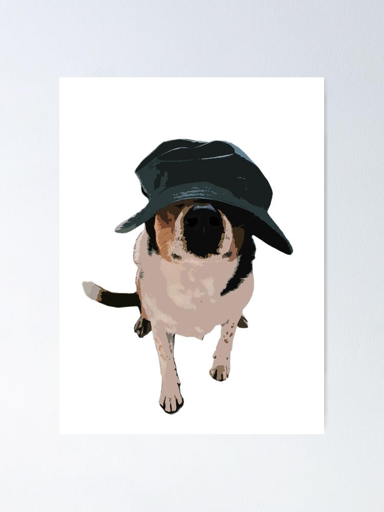 dog bucket hat
