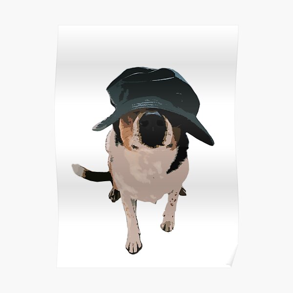 "Dog with bucket hat" Poster by Allysong21 Redbubble