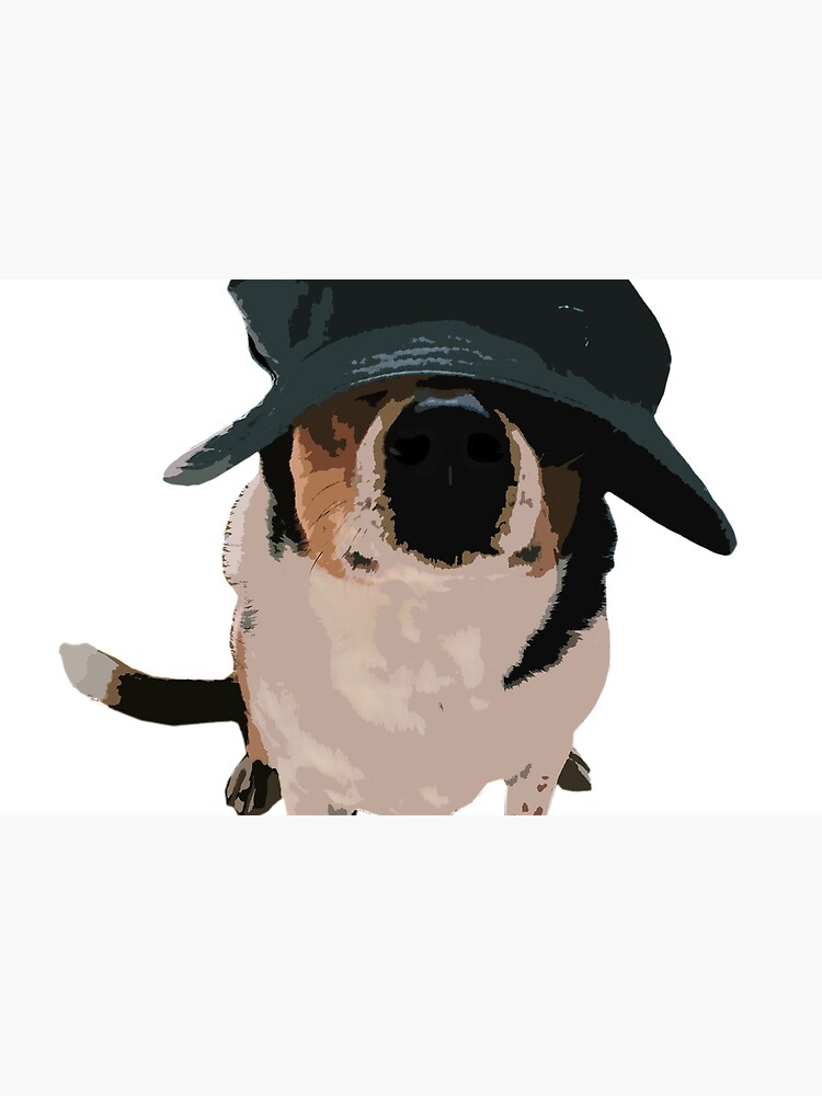 dog bucket hat