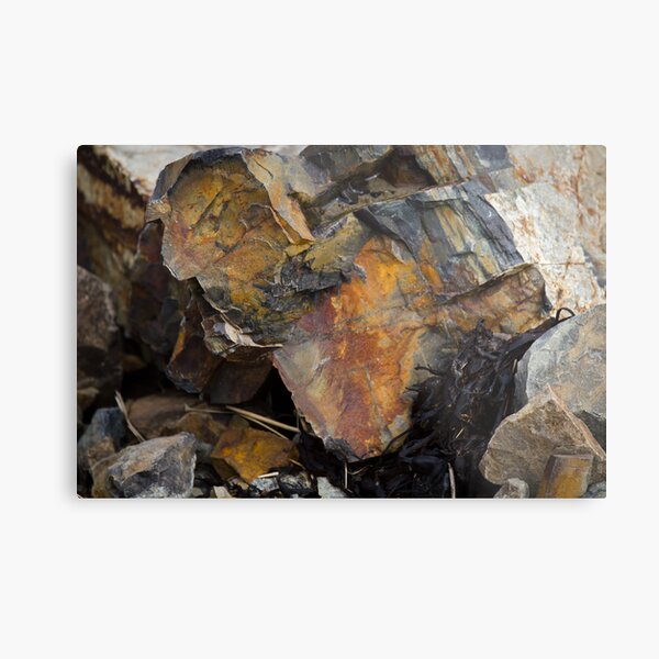 Rock or Tree Metal Print