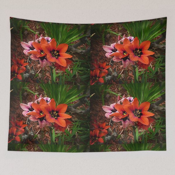 Item preview, Ixias - Spring 2019 designed and sold by EdsMum.