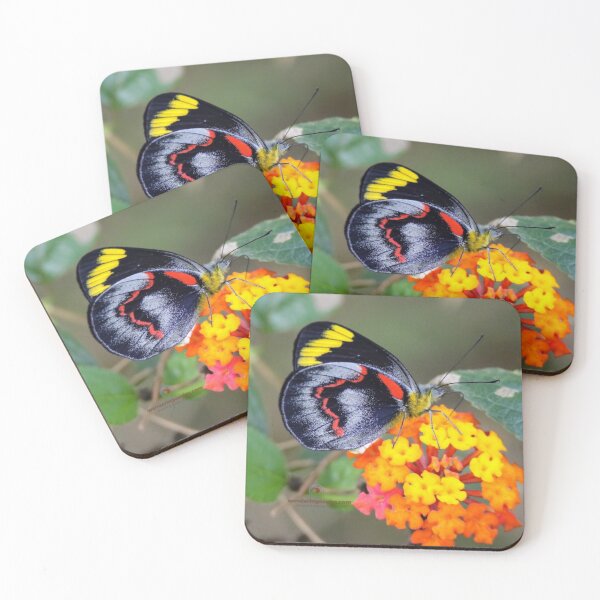 Item preview, Common Jezebel  designed and sold by Wanderingeagles.