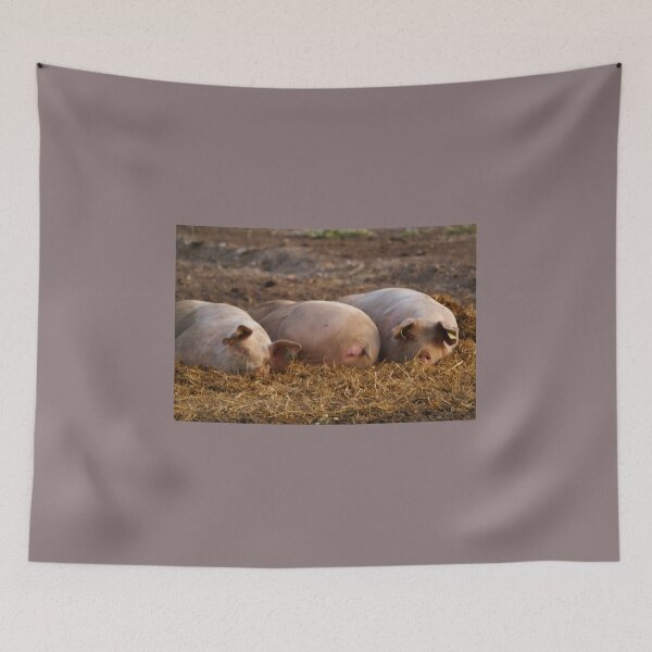 Item preview, And another one said...Roll over! designed and sold by LillyViolet.