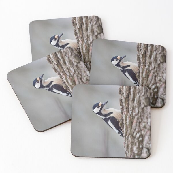 Item preview, Ok ok. Great spotted woodpecker designed and sold by Jouko Lehto Photography.