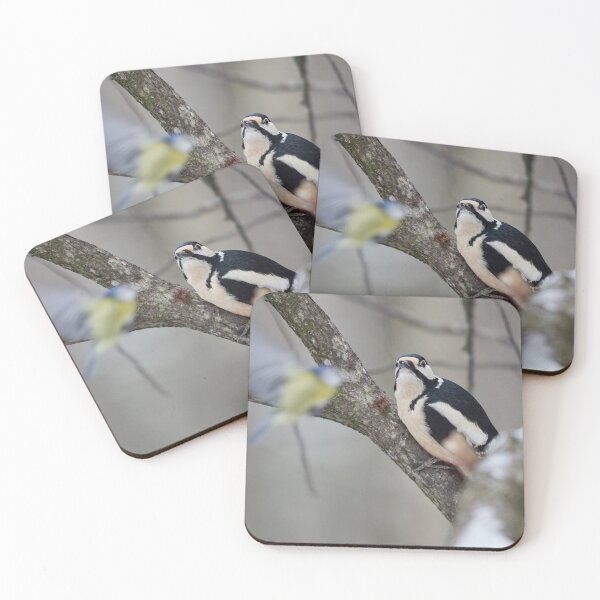 Item preview, Ok Photobomber. Great spotted woodpecker designed and sold by Jouko Lehto Photography.