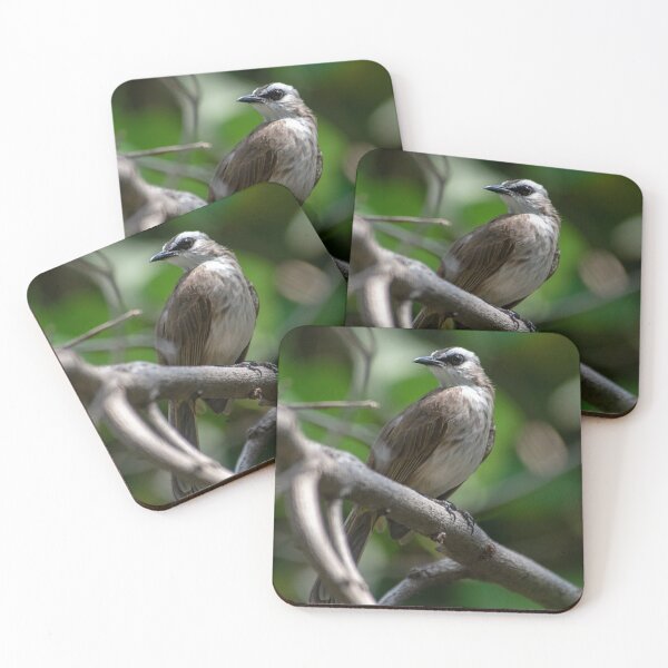 Item preview, Yellow Vented Bulbul designed and sold by DonMc.
