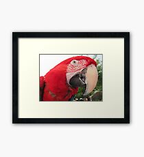 Hello! Framed Print