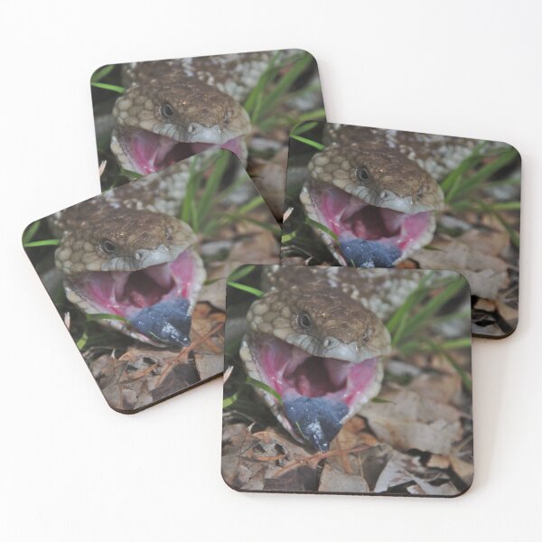 Item preview, Lizards - Angry Blue Tongue Lizard in Gingin, Western Australia  designed and sold by Jason Gilbert.