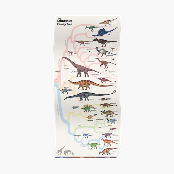Dinosaur Family Tree Poster