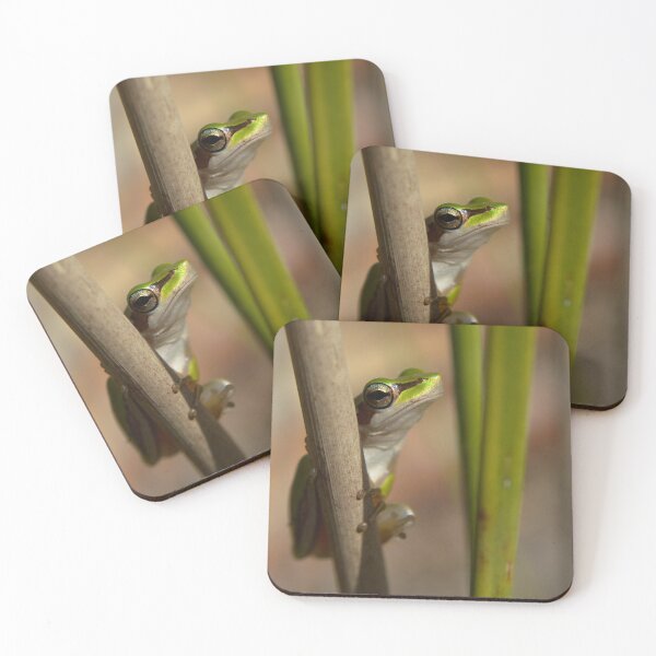 Item preview, Bright Green Slender Tree Frog Frog Frogs In The Reeds designed and sold by Jason Gilbert.
