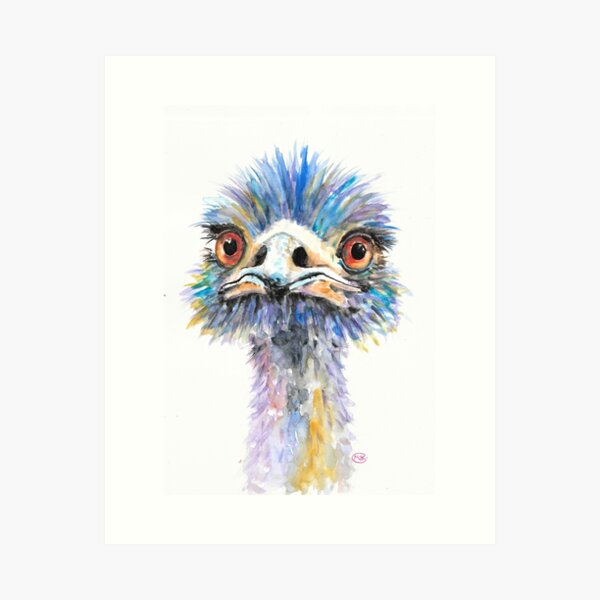 Blue Emu Photography art prints and posters by kattobello 