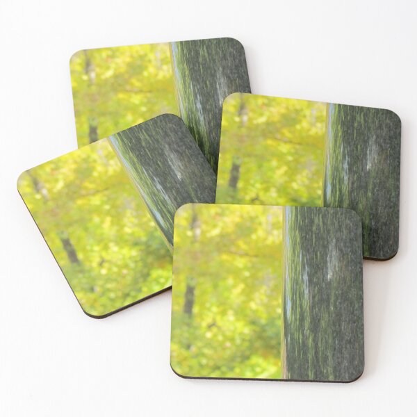 Item preview, Autum foliage designed and sold by georgebarnard.