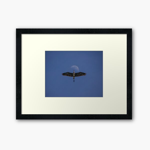 Fly to the Moon Framed Art Print