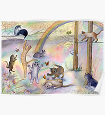 Kitties wait for their humans at Rainbow Bridge Poster