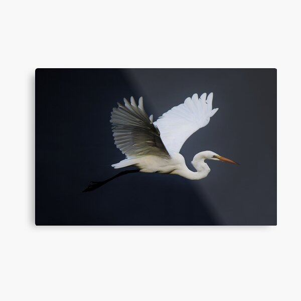 Item preview, Great White Egret in Flight designed and sold by Paulette1021.