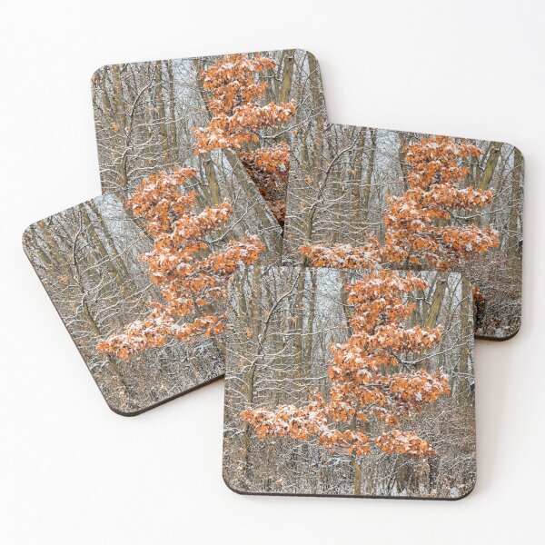 Item preview, Winter Oak Sapling designed and sold by LynyrdSky.