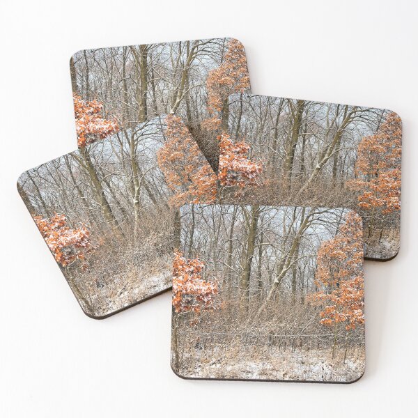Item preview, Winter Oak Saplings designed and sold by LynyrdSky.