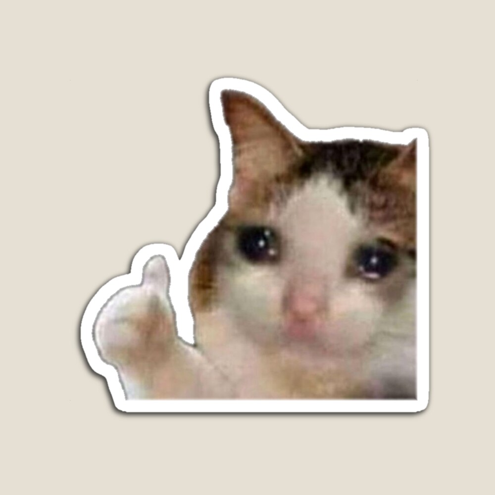 cat crying meme | Sticker