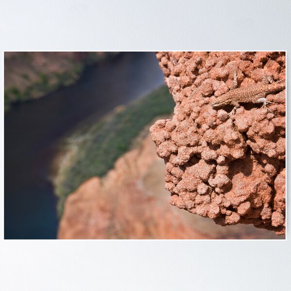 Item preview, Hanging Out Over Horseshoe Bend designed and sold by Kim Barton.