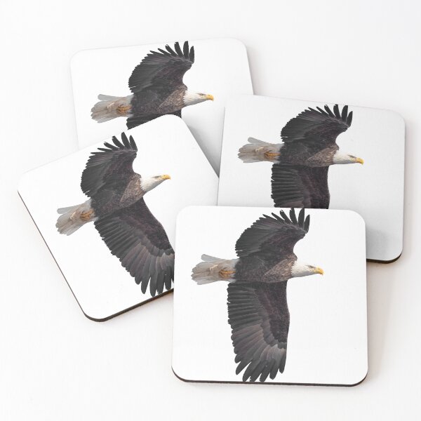 Item preview, Isolated Bald Eagle 2019-7 designed and sold by Thomasyoung.
