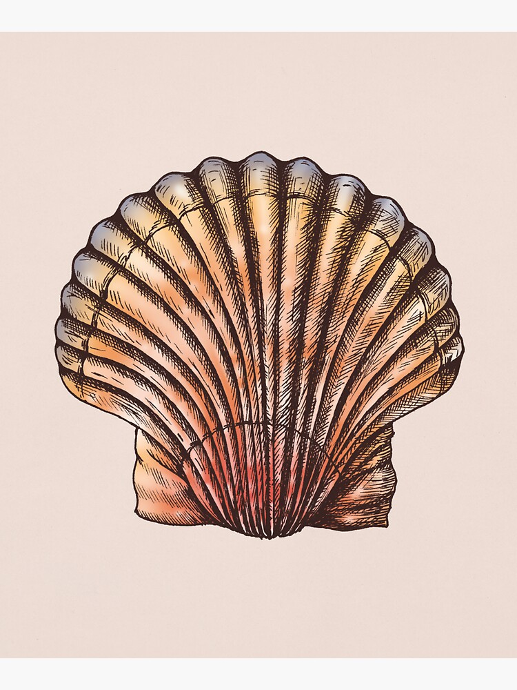 Modern Watercolor Seashells Custom Text Tote Bag