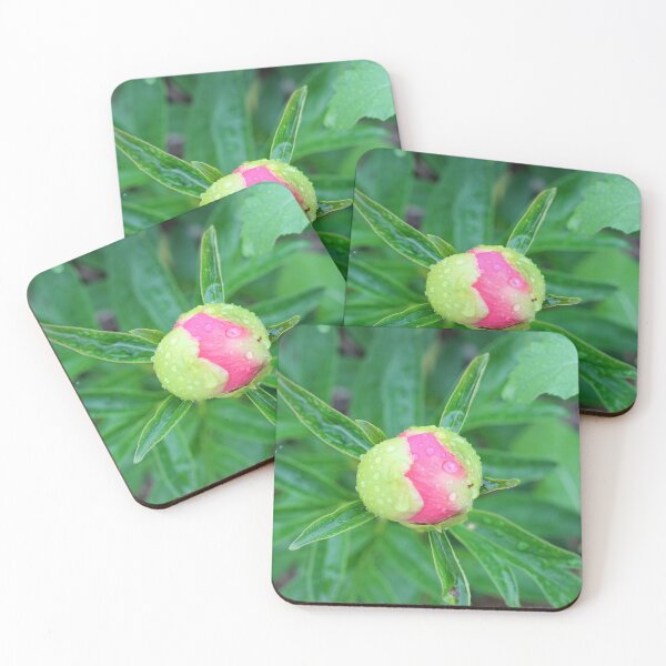 Item preview, Early Peony Bud designed and sold by Susie Kramer.