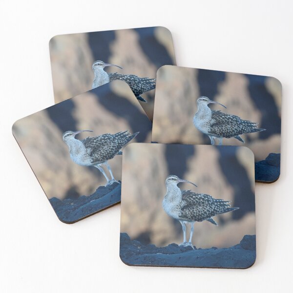 Item preview, Bristle-thighed Curlew designed and sold by photosbypamela.