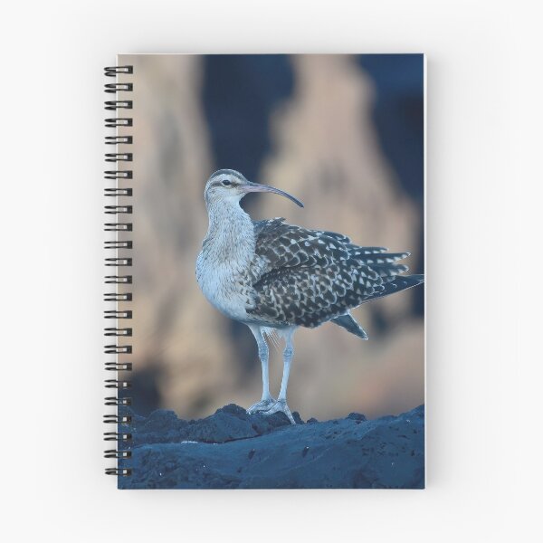 Item preview, Bristle-thighed Curlew designed and sold by photosbypamela.