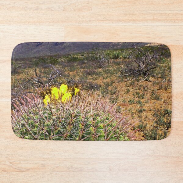 Item preview, Southwest Barrel Cactus along the Organ Moutains in New Mexico designed and sold by William E Lopez.