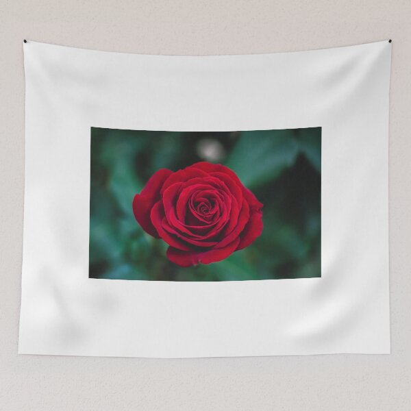 Item preview, Beautiful Red Rose designed and sold by newburyboutique.