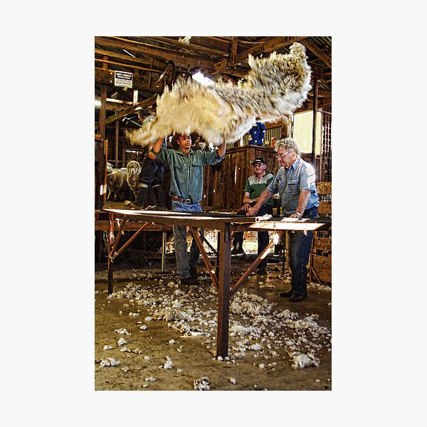 Item preview, THROWING THE FLEECE designed and sold by Helen Akerstrom Photography.