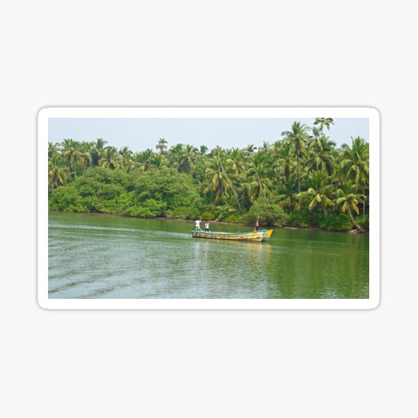 Fishing in backwaters in Coastal Karnataka Sticker