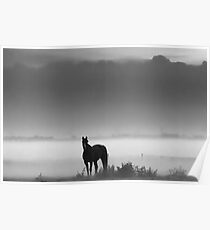 BW Poster