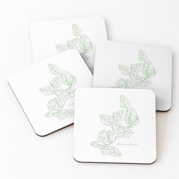 Item preview, Monstera Adansonii houseplant hand-drawn art designed and sold by Chee Sim.