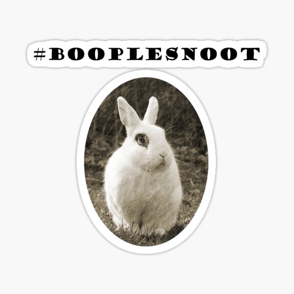 Booplesnoot Sticker