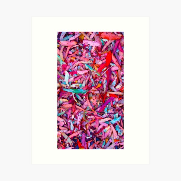 Item preview, Rainbow Gum Leaves - by South Australian artist Avril Thomas designed and sold by MagpieSprings.